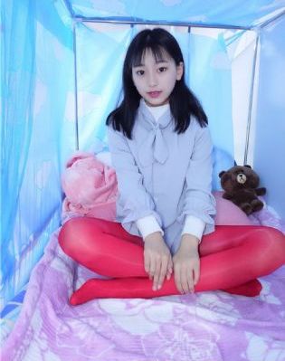 噼里啪啦免费高清看